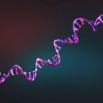 Individual Differences: Genetics