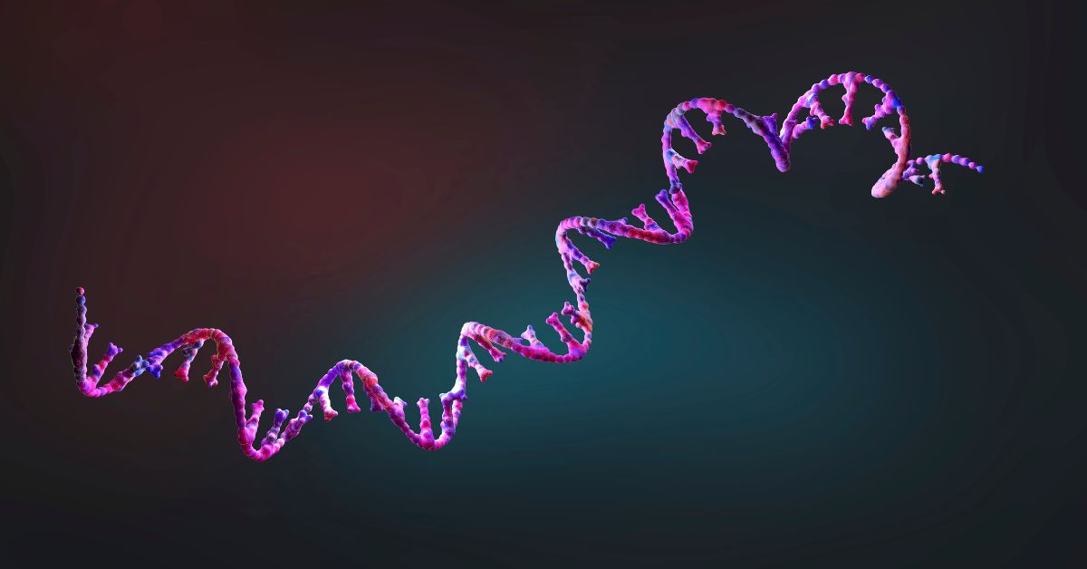 Individual Differences: Genetics