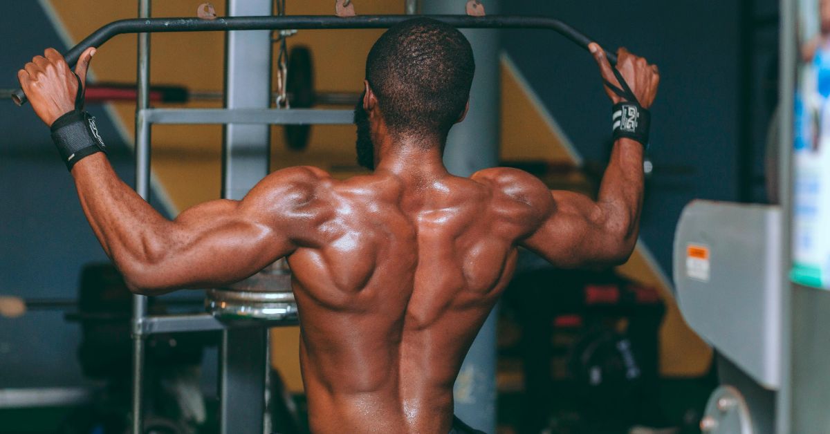 Progressive Overload: Muscle Growth Training