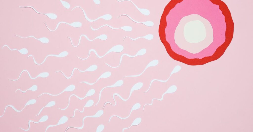 Sperm Count: Normal Ranges and Improvement