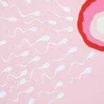 Sperm Count: Normal Ranges and Improvement